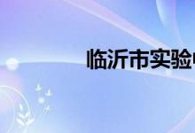 临沂市实验中学的地址在哪