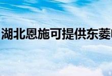 湖北恩施可提供东菱电磁炉维修服务地址在哪