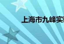 上海市九峰实验学校的地址在哪