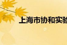 上海市协和实验幼儿园的地址在哪