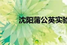 沈阳蒲公英实验幼稚园的地址在哪