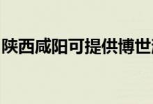 陕西咸阳可提供博世消毒柜维修服务地址在哪