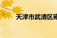 天津市武清区雍阳中学的地址在哪