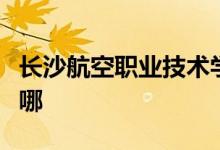 长沙航空职业技术学院（长沙航院）的地址在哪