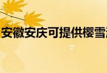 安徽安庆可提供樱雪消毒柜维修服务地址在哪