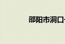 邵阳市洞口一中的地址在哪