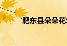 肥东县朵朵花幼儿园的地址在哪