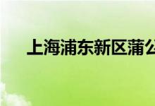 上海浦东新区蒲公英幼儿园的地址在哪