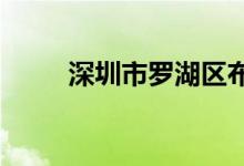 深圳市罗湖区布心中学的地址在哪