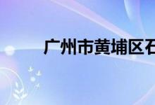 广州市黄埔区石化中学的地址在哪