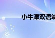 小牛津双语幼儿园的地址在哪