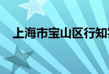 上海市宝山区行知实验幼儿园的地址在哪