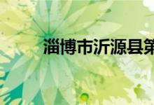 淄博市沂源县第二中学的地址在哪