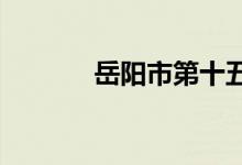 岳阳市第十五中学的地址在哪