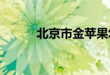 北京市金苹果幼儿园的地址在哪