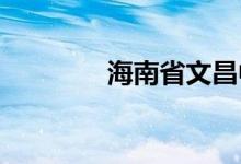 海南省文昌中学的地址在哪