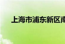 上海市浦东新区南门幼儿园的地址在哪