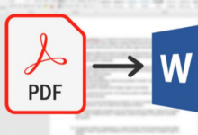 免费且轻松地将您的PDF文档转换为WORD