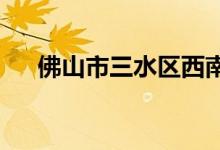 佛山市三水区西南中心小学的地址在哪