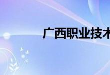 广西职业技术学院的地址在哪