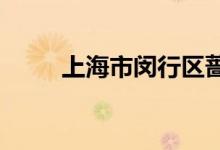 上海市闵行区蔷薇小学的地址在哪