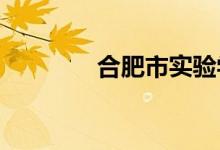 合肥市实验学校的地址在哪