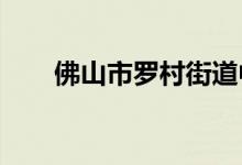 佛山市罗村街道中心小学的地址在哪