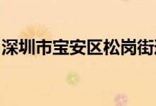 深圳市宝安区松岗街道中心幼儿园的地址在哪