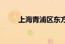 上海青浦区东方幼儿园的地址在哪