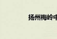 扬州梅岭中学的地址在哪