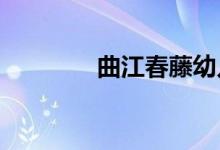 曲江春藤幼儿园的地址在哪