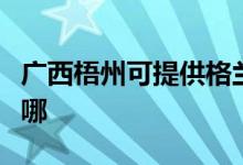 广西梧州可提供格兰仕燃气灶维修服务地址在哪