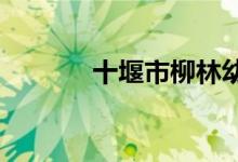 十堰市柳林幼儿园的地址在哪