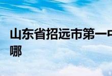 山东省招远市第一中学（招远一中）的地址在哪