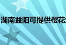 湖南益阳可提供樱花燃气灶维修服务地址在哪