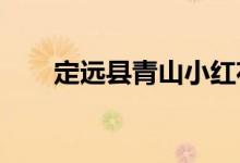 定远县青山小红花幼儿园的地址在哪