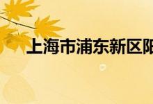 上海市浦东新区阳光幼儿园的地址在哪