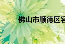 佛山市顺德区容桂小学的地址在哪