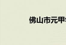 佛山市元甲学校的地址在哪