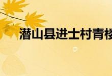 潜山县进士村青楼乡幼儿园的地址在哪