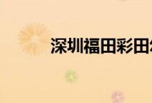 深圳福田彩田幼儿园的地址在哪