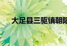 大足县三驱镇朝阳村幼儿园的地址在哪