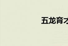 五龙育才的地址在哪