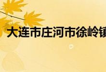 大连市庄河市徐岭镇双丰幼儿园的地址在哪
