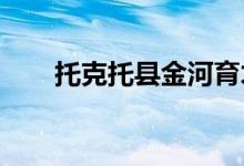 托克托县金河育才幼儿园的地址在哪