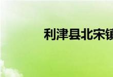 利津县北宋镇二中的地址在哪