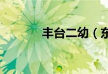 丰台二幼（东园）的地址在哪