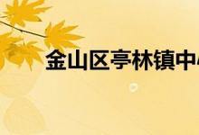 金山区亭林镇中心幼儿园的地址在哪