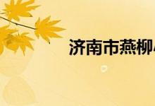 济南市燕柳小学的地址在哪