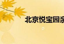 北京悦宝园亲子园的地址在哪